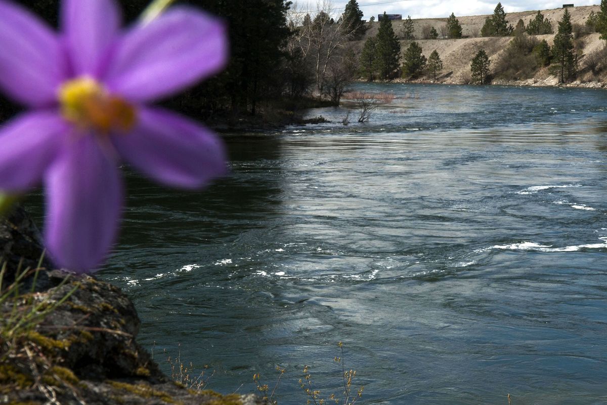 “Spokane rasps out the last breaths / of evening, and a man named river, / ice, stone walks heel to toe heel / to toe down Monroe St. Bridge singing / come down come down hearing / come down come down frantic like song / from the river, the ice, the stone below.” – John Allen Taylor, “River Song” (File photos)