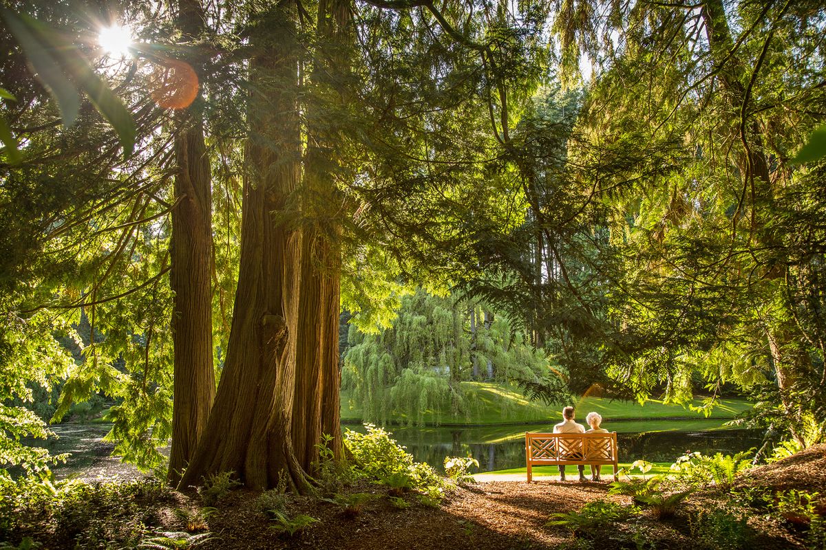 The 150-acre Bloedel Reserve on Bainbridge Island, Wash., features old growth fir trees surrounded by massive ferns and moss.