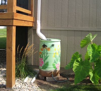 A decorated rain barrel, “Butterfly Garden,” is connected to a downspout in a backyard, where it will capture rainwater for watering garden beds. (Associated Press)