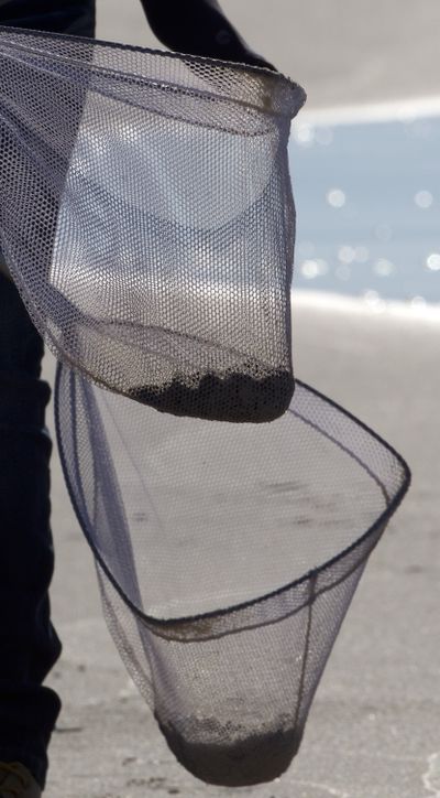 Oil cleanup crews carry nets containing tar balls after from along the beach in Gulf Shores, Ala., Wednesday. (Associated Press)