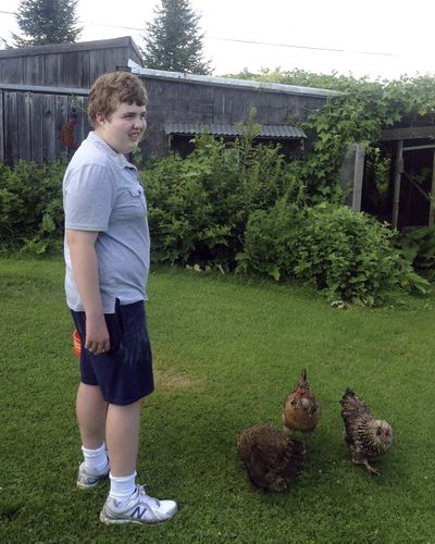 In this July 2013 photo provided by Matthew Pollack, his son Ben Pollack stands beside chickens in Sidney, Maine. (Jane Quirion / Associated Press)