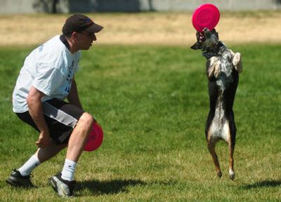 
Glenn Maden watches his dog Ariel catch a Frisbee while performing Saturday in the duo's Freestyle Canine Disc Demo during Pet Fest at the Spokane County Fairgrounds. 
 (Ingrid Lindemann / The Spokesman-Review)