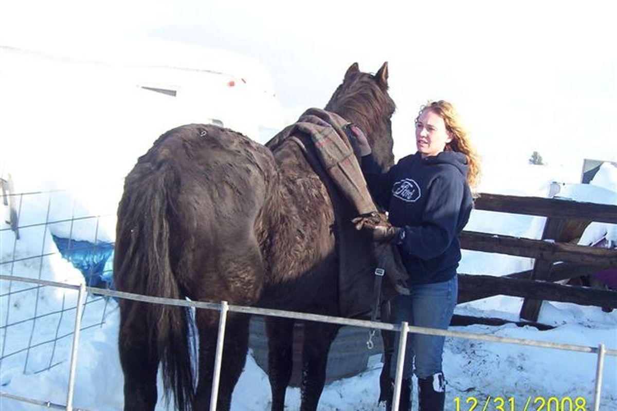 In this photo, an advocate tends to one of 33 malnourished horses a man living in a truck on the Spokane Indian Reservation agreed to give up late Thursday. Advocates were able to rescue four of the horses Thursday, Julie Boehring said in an e-mail. (Courtesy of Julie Boehrig )