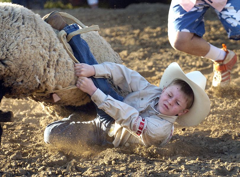 ORG XMIT: IDLEW101 Dirt flies as Hunter Owens, 5, of Lewiston, Idaho holds on tight as his sheep during the mutton bustin, drags him across the arena floor at the kids rodeo Friday, April 24, 2009 in Asotin, Wash.(AP Photo/Lewiston Tribune, Kyle Mills) (Kyle Mills / The Spokesman-Review)