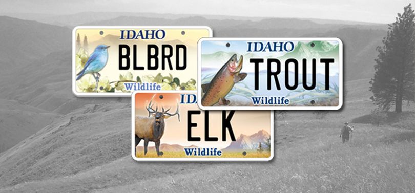 Idaho's wildlife license plates raise money for non-game wildlife conservation.