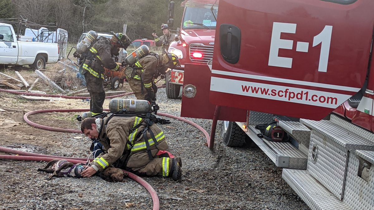 Stevens County firefighters administered oxygen to dogs found in an early morning house fire Thursday.  (Courtesy Stevens County Fire District No. 1)