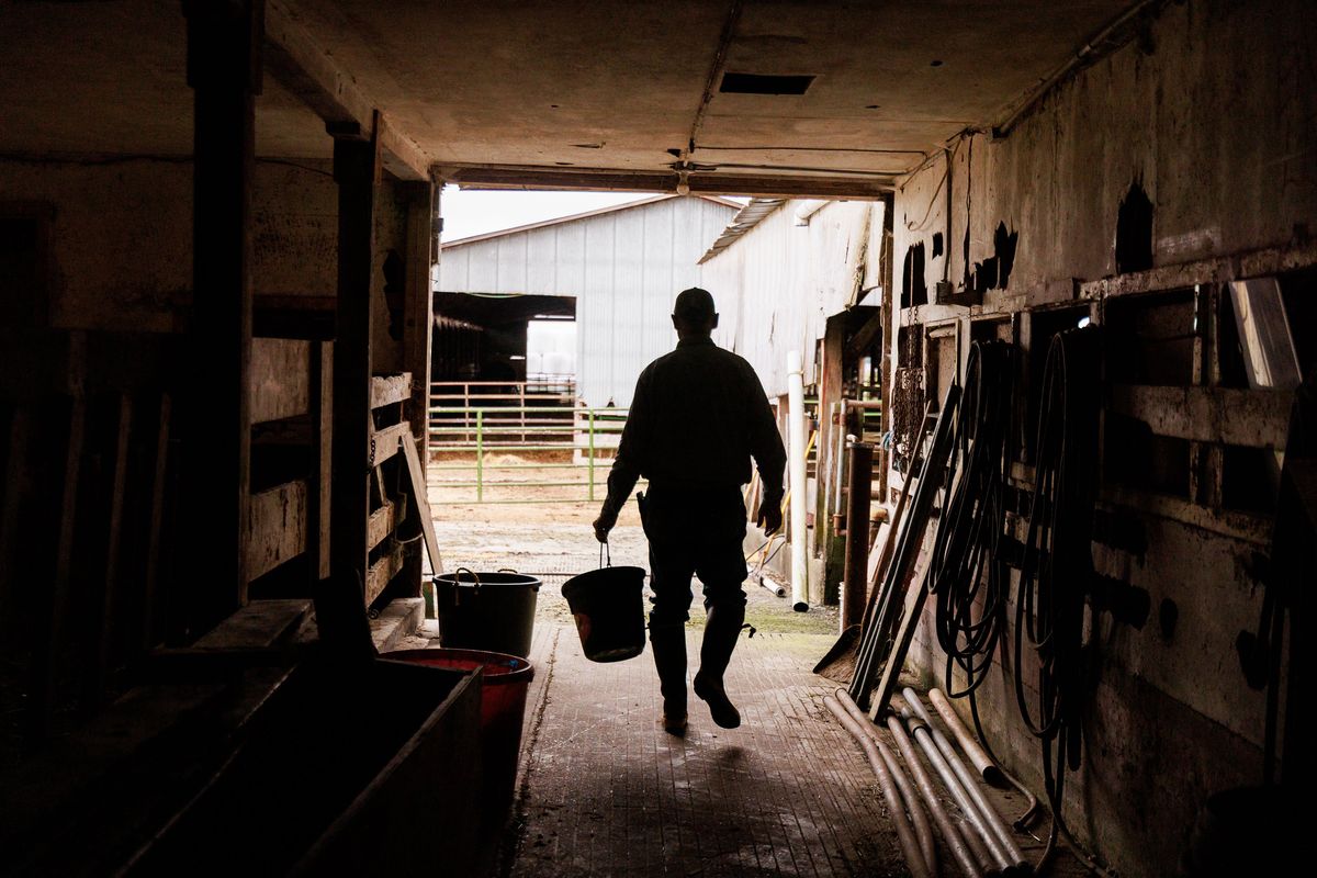 Sizzling beef prices change how some buy, consume meat