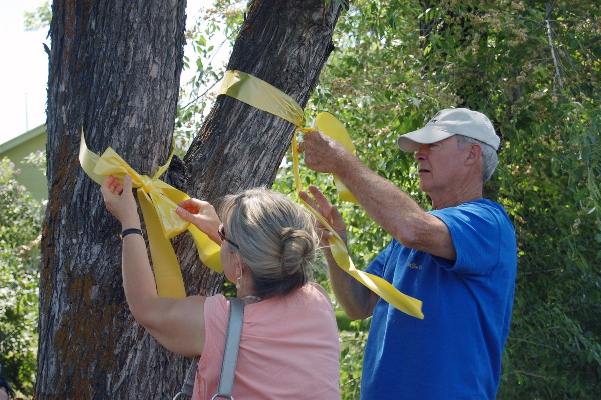 Portland residents Jack and Cindy Sparks tie yellow ribbons to a tree Wednesday in Hailey, Idaho. The couple were in Hailey a year ago when they heard about the capture of Army Spc. Bowe Bergdahl  in Afghanistan and wanted to help decorate.  (Associated Press)