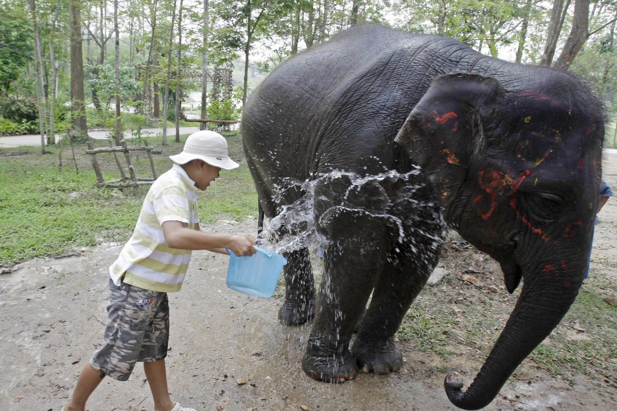 This April 21, 2011, photo shows an autistic boy as he splashes water on Nua Un, a female elephant, to help clean her during an animal therapy program in Lampang, Thailand. The program seeks to help autistic children through interaction with the well-trained pachyderms. (Sakchai Lalit / Associated Press)