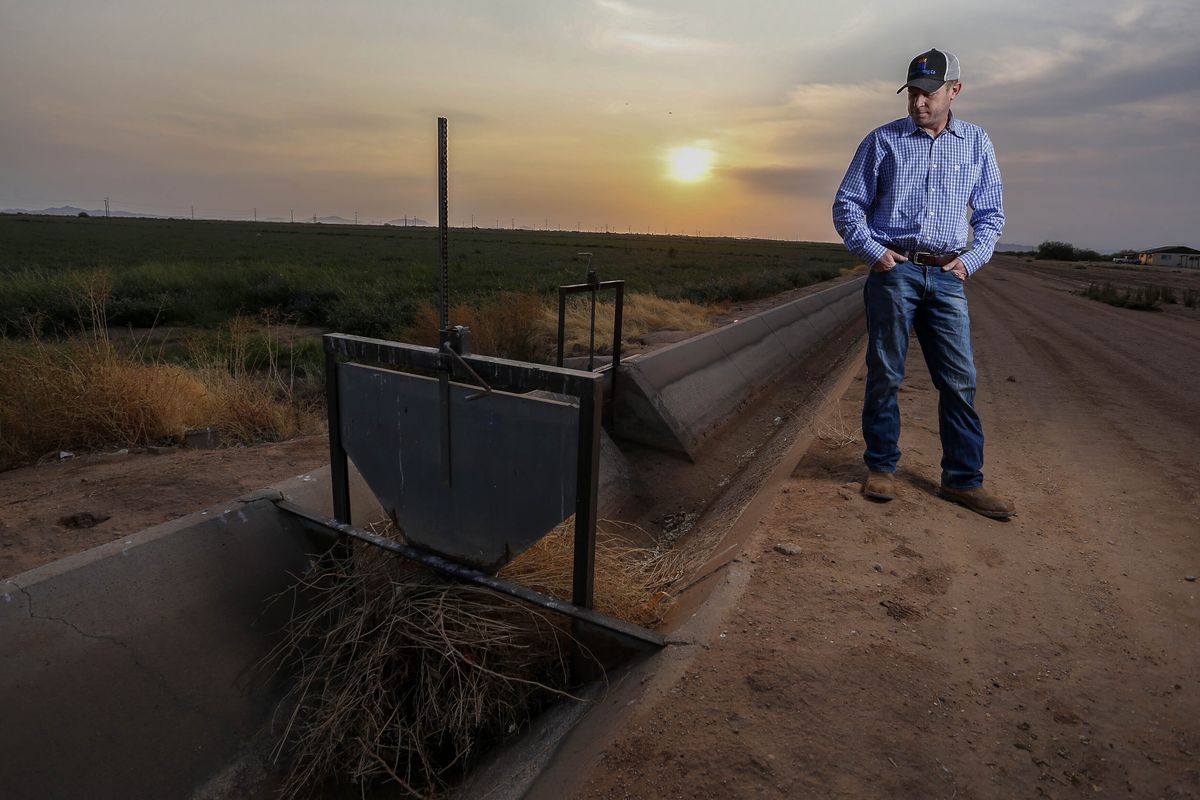 Will Thelander, a partner in his family’s farming business, looks into a dry irrigation canal Thursday on his property in Casa Grande, Ariz.  (Darryl Webb)