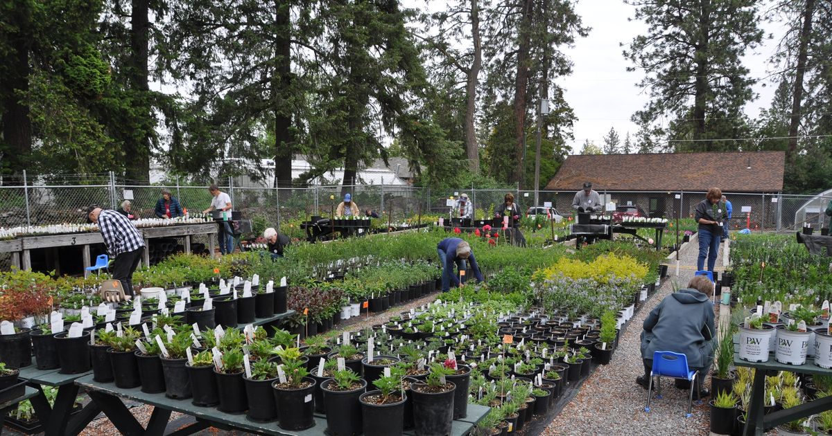 Gardening: Volunteers prepare unusual plants for Manito sale this weekend