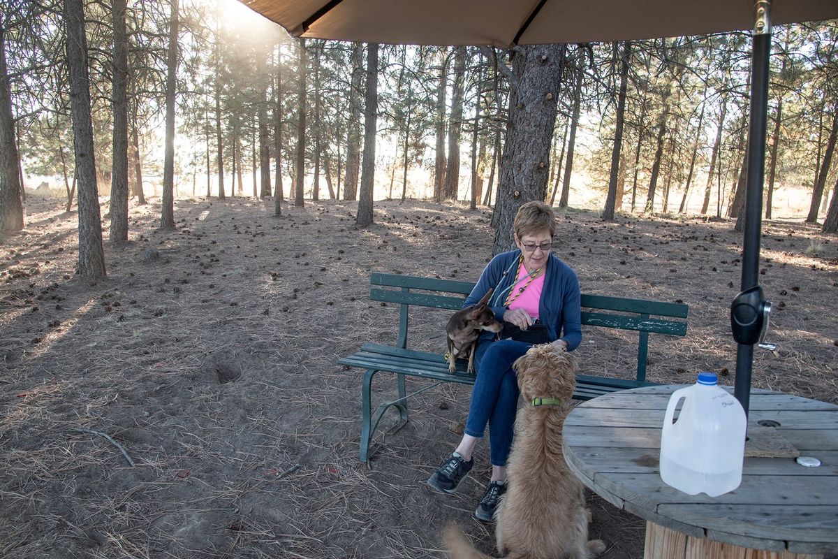 Chris McLaughlin sits in the shade with her dogs, Sunny and Clancy, and feeds them treats in this October 2022 at the dog park behind Mullan Road Elementary on Spokane’s South Hill. A 2-acre facility is planned on the site, but now Park officials are turning their attention from a new facility at Upriver to improvements at an existing High Bridge dog park in the Peaceful Valley neighborhood.   (Jesse Tinsley/The Spokesman-Review)