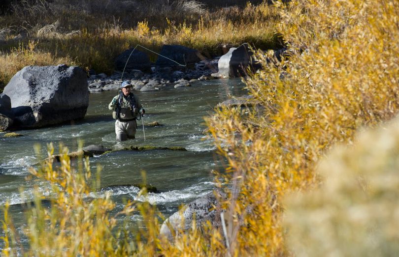 In this Oct. 24, 2013 photo, Bob Saw, of Powell Butte, fishes on a run in the Crooked River east of Bend, Ore.  (Ryan Brennecke / The Bulletin)