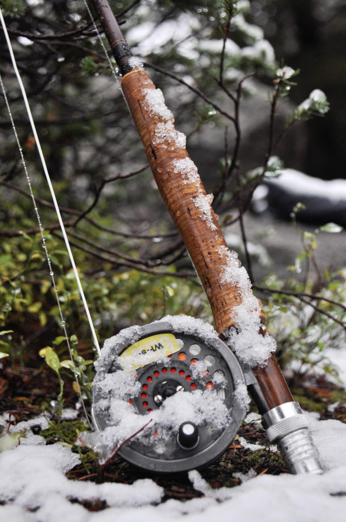A weather report can help determine when to go fishing. (Rich Landers / The Spokesman-Review)