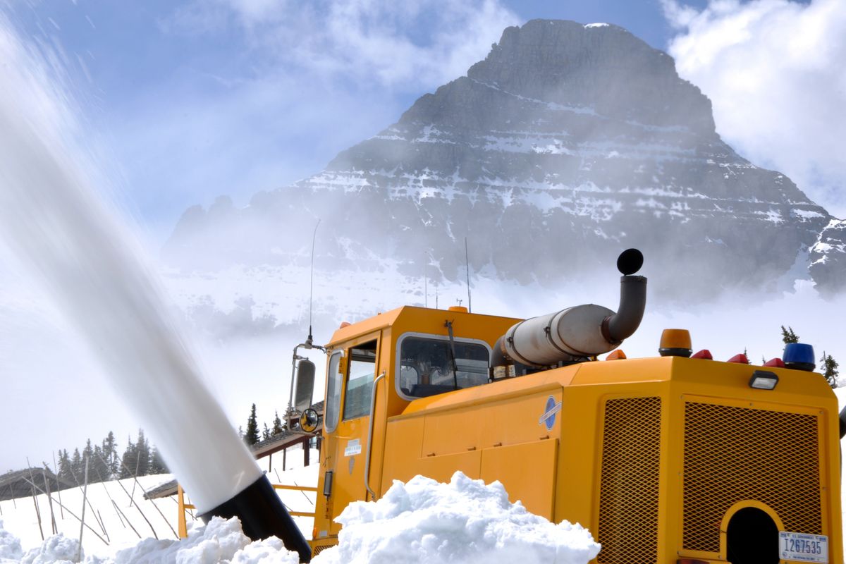 The road at Logan Pass was cleared in time for holiday visitors to view mountain goats and bighorn sheep.