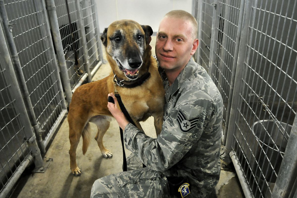 In this Jan. 14, 2011, photo, U.S. Air Force Staff Sgt. Chris Fall prepared to take military dog, Lucky, from Fairchild Air Force Base to be deployed in Kyrgyzstan. (Dan Pelle / The Spokesman-Review)