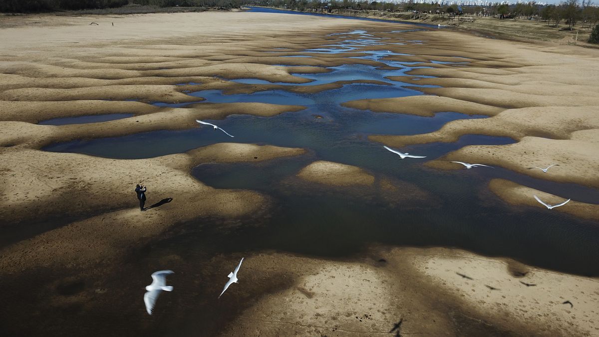 Birds fly over a man taking photos of the exposed riverbed of the Old Parana River, a tributary of the Parana River during a drought in Rosario, Argentina, Thursday, July 29, 2021. Parana River Basin and its related aquifers provide potable water to close to 40 million people in South America, and according to environmentalists the falling water levels of the river are due to climate change, diminishing rainfall, deforestation and the advance of agriculture.  (Victor Caivano)
