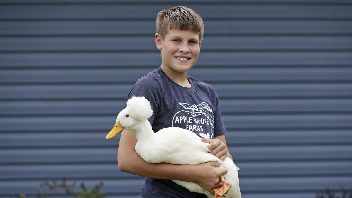 Payne Steffan poses for a photo Tuesday with his duck, Arlo, near Jenera, Ohio. Steffan is sad he won’t get to show off his ducks or get to impress the judges with how much he knows. The Hancock County Fair was cance  (Tony Dejak)