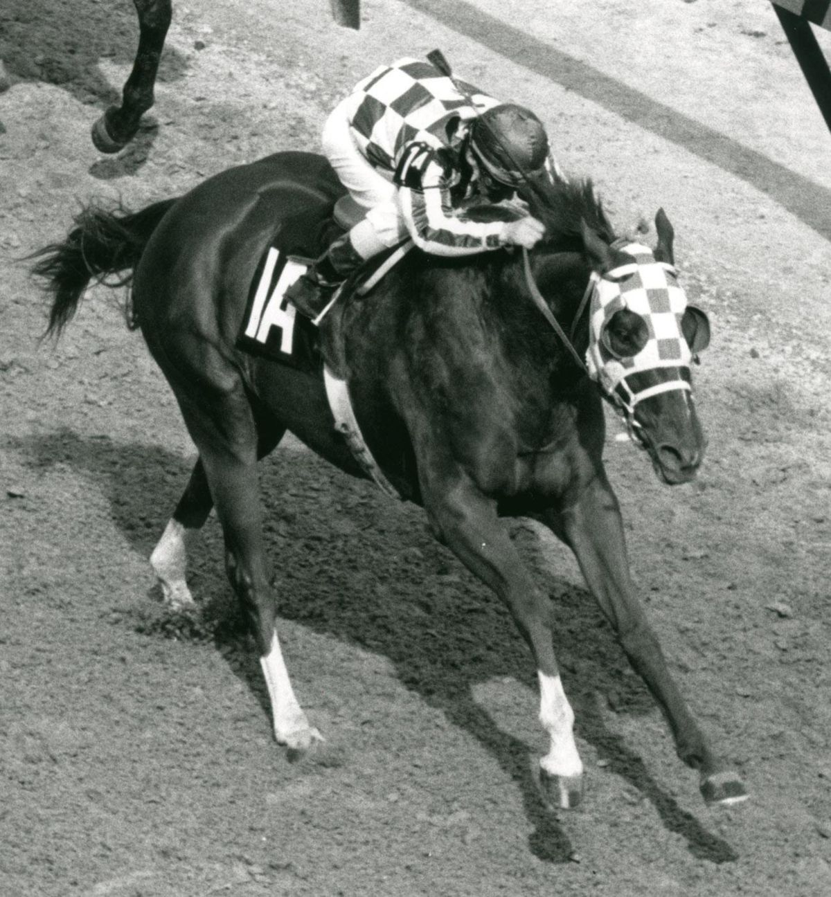 Secretariat, with Ron Turcotte up, won the 99th running of the Kentucky Derby on May 5, 1973, two and half lengths in front of Sham, ridden by Laffit Pincay, Jr.    (E. Martin Jessee/Lexington Herald-Leader/TNS)