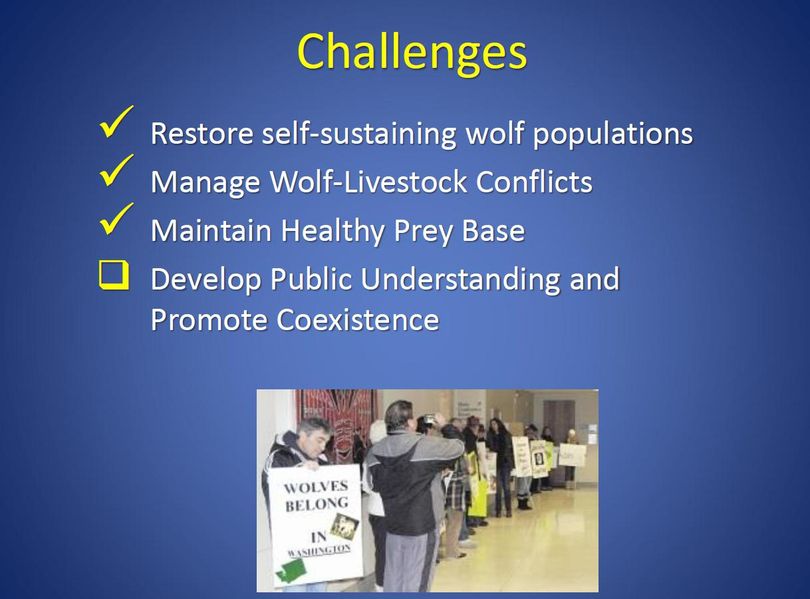 Washington Department of Fish and Wildlife officials outline their top challenges in wolf management. (Washington Department of Fish and Wildlife)