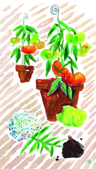  (Molly Quinn/The Spokesman-Review)