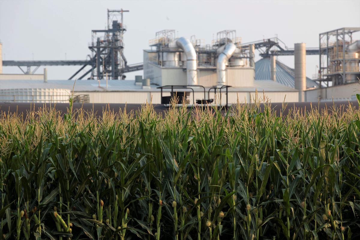 Project developers plan to build carbon capture pipelines connecting dozens of Midwestern ethanol refineries, such as this one in Chancellor, South Dakota, shown on Thursday, July 22, 2021. Corn absorbs the greenhouse gas carbon dioxide, but the process of fermenting it into ethanol releases carbon dioxide emissions.  (Stephen Groves)