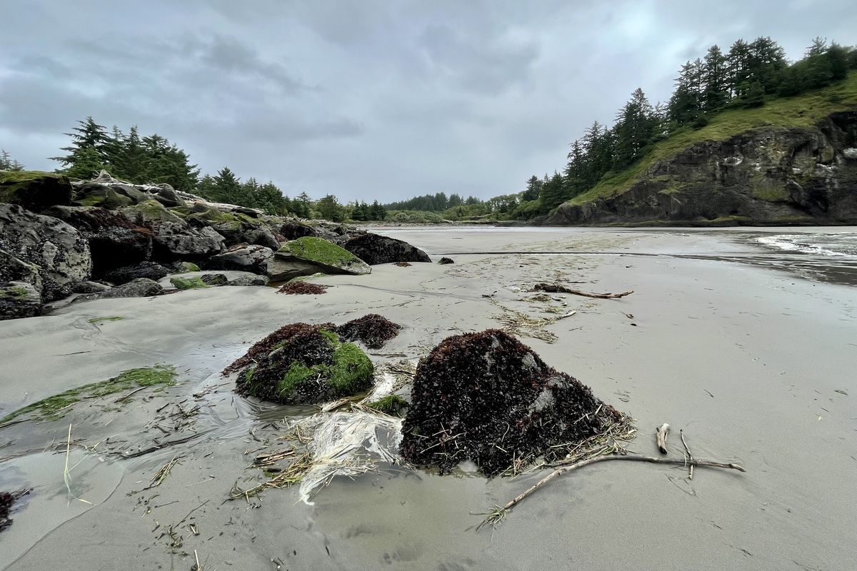Waikiki Beach at Cape Disappointment is a lovely, secluded stretch of sand with great views. (Leslie Kelly)