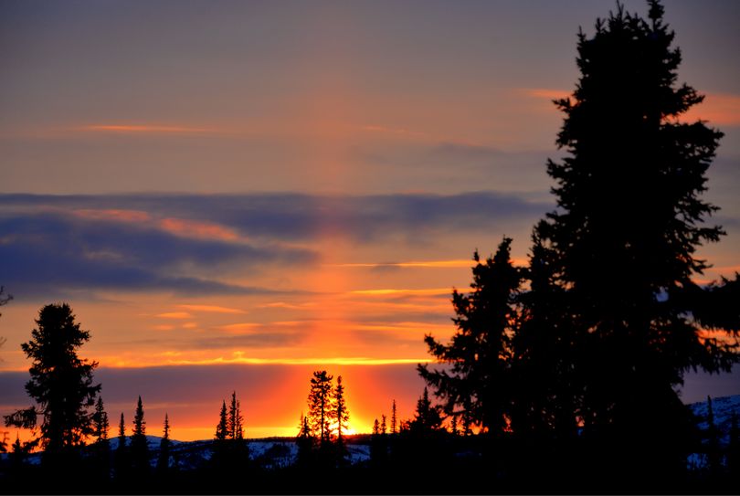 Sunset as seen from the porch of the Tripod Flat BLM Cabin on the Kaltag Portage along the Iditarod Trail. Back-lit ice crystals cause the dynamic effect in the sky. Josh Rindal of Spokane and Bob Jones of Kettle Falls were snowmobiling 1,400-miles along the route of Alaska's famous Iditarod Sled Dog Race in March 2014. (Robert Jones)