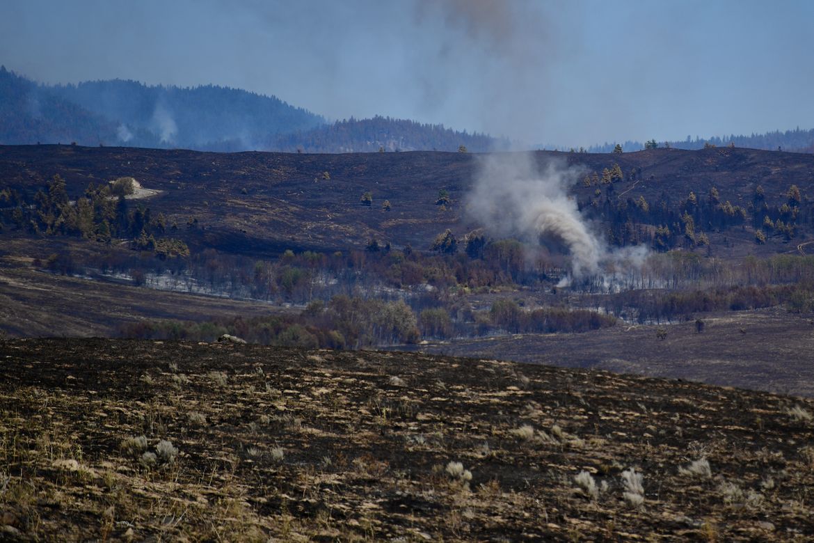 Widespread wildfires could threaten hunting access in Eastern