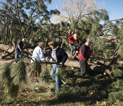 The family of homeowner Rachel Wier band together to cut up and clear a large ponderosa pine that landed and blocked the road at 4100 N. Hawthorne Street, Wed. Nov. 18, 2015. (Colin Mulvany / Spokesman-Review)
