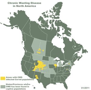 This map, updated in January 2011, shows where Chronic Wasting Disease has been documented in North America. (Chronic Wasting Disease Alliance)