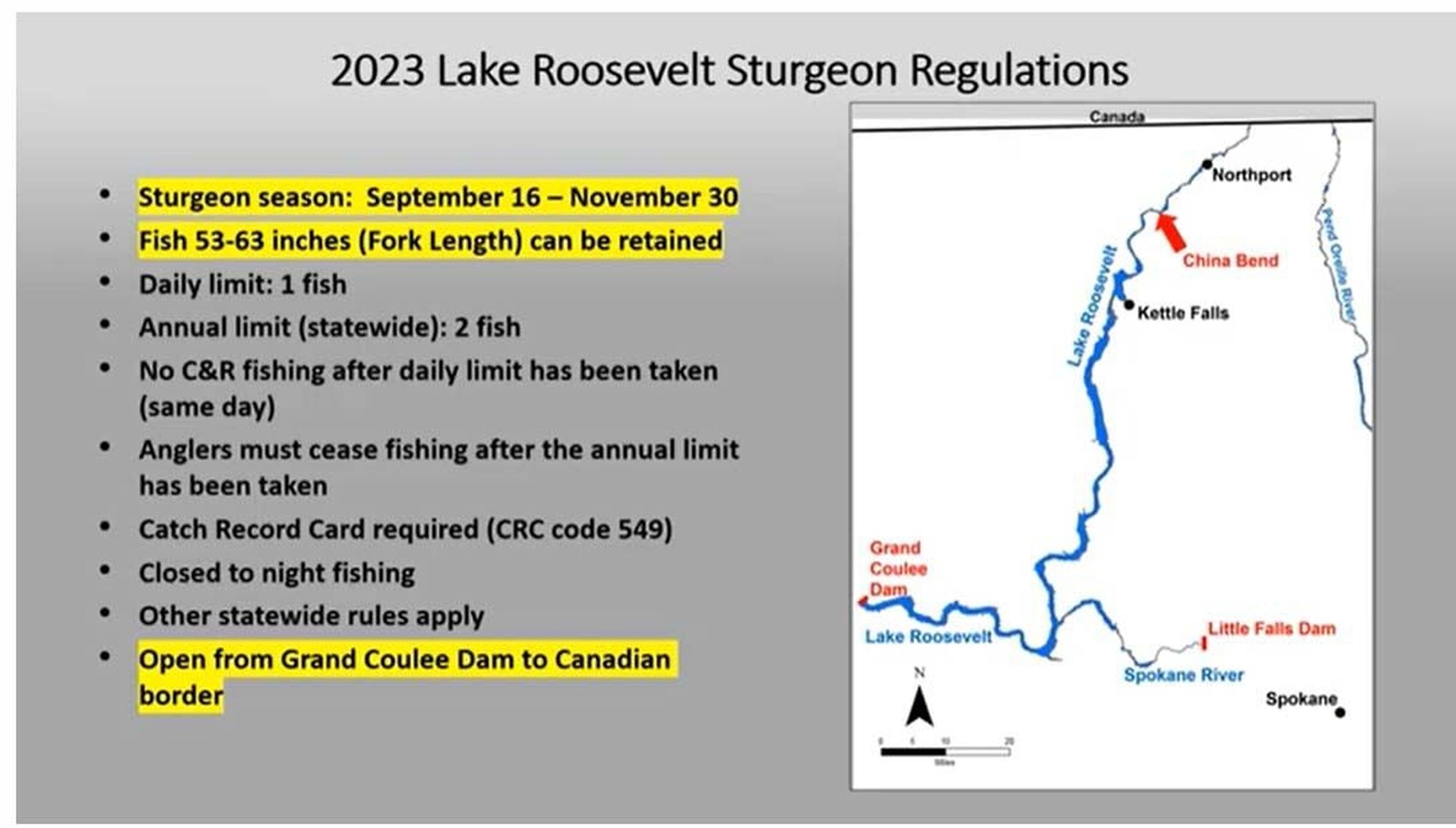 Lake Roosevelt white sturgeon fishing rules to change