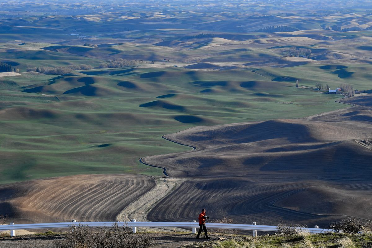 Photographer John Zheng walks near the summit of Steptoe Butte as he looks to frame up his next shot on Thursday, April 15, 2021, near Steptoe, Wash.  (Tyler Tjomsland/The Spokesman-Review)