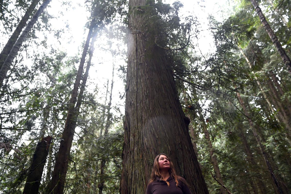 Ali Hakala is upset with the decision by Idaho Fish and Game to start logging a grove of old cedar trees near her Pack River home. (Kathy Plonka / The Spokesman-Review)