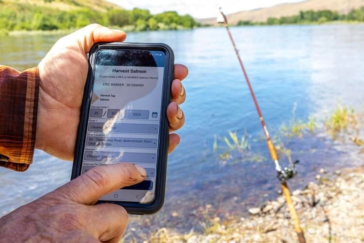 A phone shows Idaho Fish and Game’s new etag system at Hog Island.  (August Frank/Tribune)