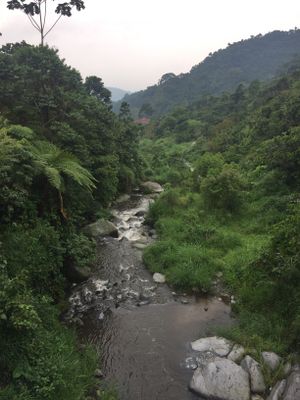 A cool mountain stream on the drive down Tancana Mountain in rural Chiapas (Gary Graham)