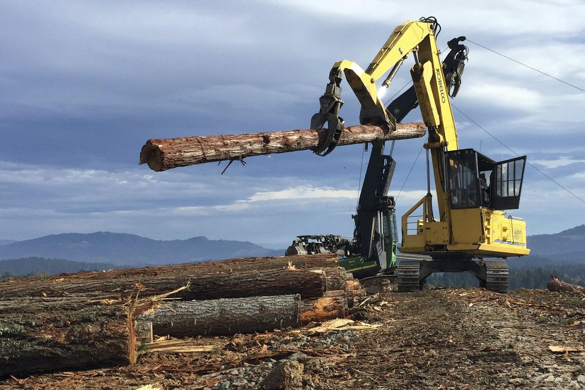 A logging crew harvests new timber on private land near the headquarters of D.R. Johnson Lumber Co., in Riddle, Ore. (Gillian Flaccus / AP)