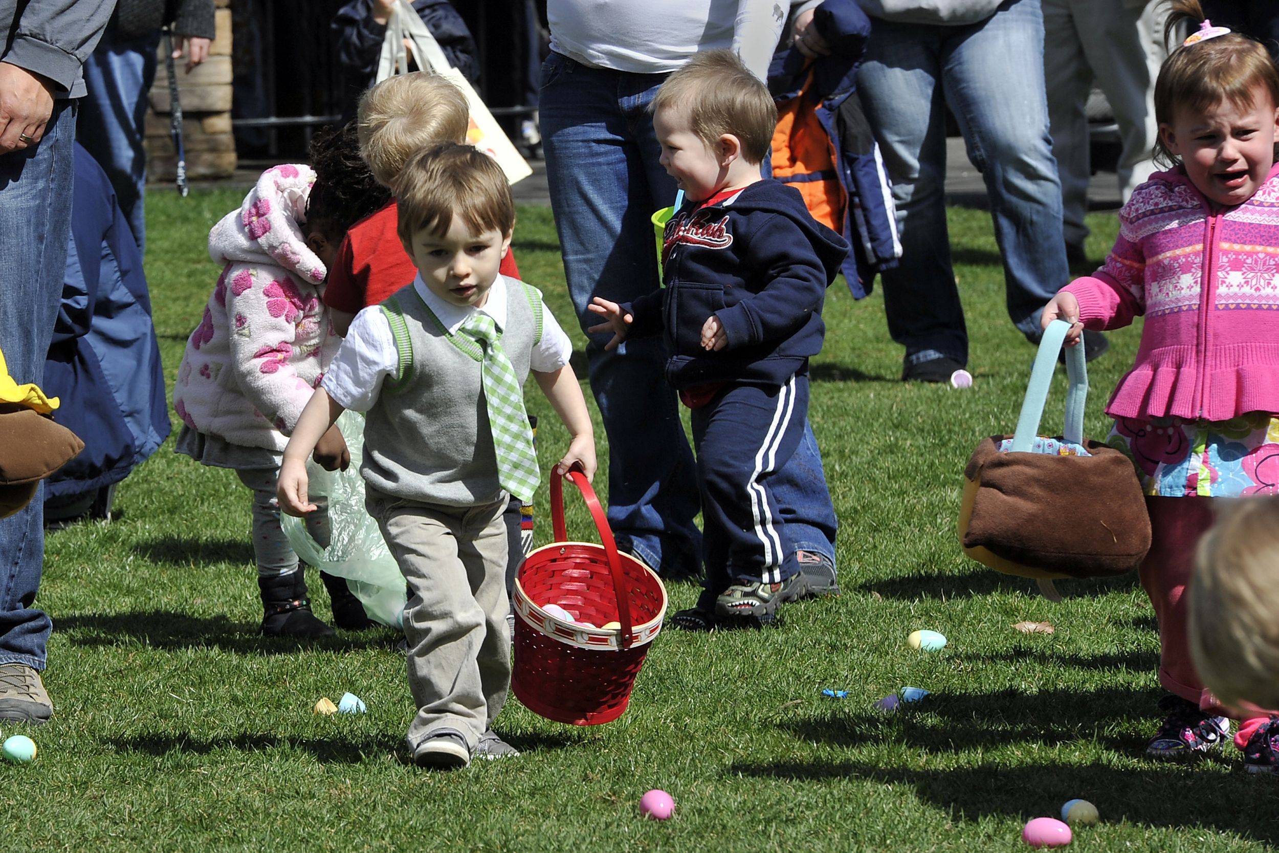 Egg hunt 2024 games. О Пасхе детям. Easter Egg Hunt. Easter Day Kids. Egg Hunt for Kids.