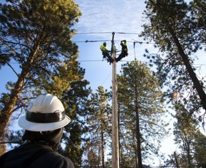 Line crews, from Sturgeon Electric based in Oregon, repair a damage stretch of power lines along Division and 34th Avenue, Nov 21, 2015, in Spokane, Wash.  (Dan Pelle / The Spokesman-Review)
