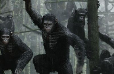 Dawn of the Planet of the Apes': Other Monkey and Ape Movies – The  Hollywood Reporter