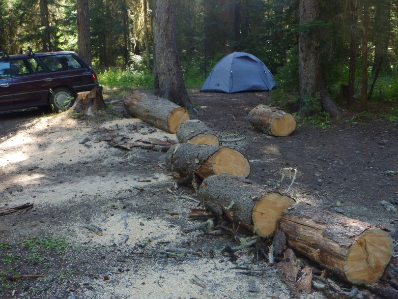 Following a fatal incident near Priest Lake on Aug. 24, 2013, Forest Service crews surveyed campgrounds in North Idaho and northeastern Washington before Labor Day weekend trying to identify and cut down hazardous trees. This tree, for example, was cut down at a campsite in Gypsy Meadows on the Colville National Forest northeast of Sullivan Lake. (Rich Landers)