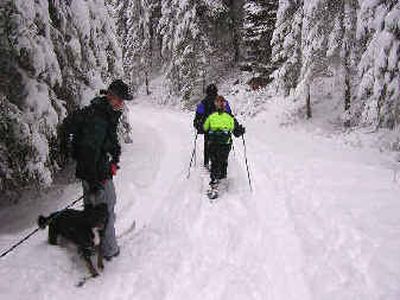 
John and Kah-less step aside to let two snowshoers pass along the trail.
 (Photo by Nancy Lemons/Special to Travel / The Spokesman-Review)