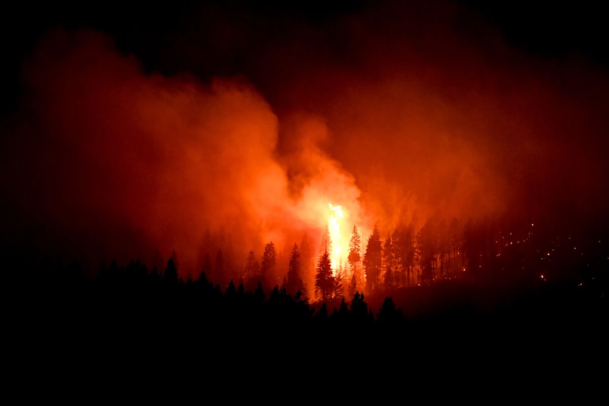 Trees crown as a wildfire burns on Sunday, north of Spokane. Early reports indicate the fire started off of Hazard Road late Sunday afternoon.  (Tyler Tjomsland/The Spokesman-Review)