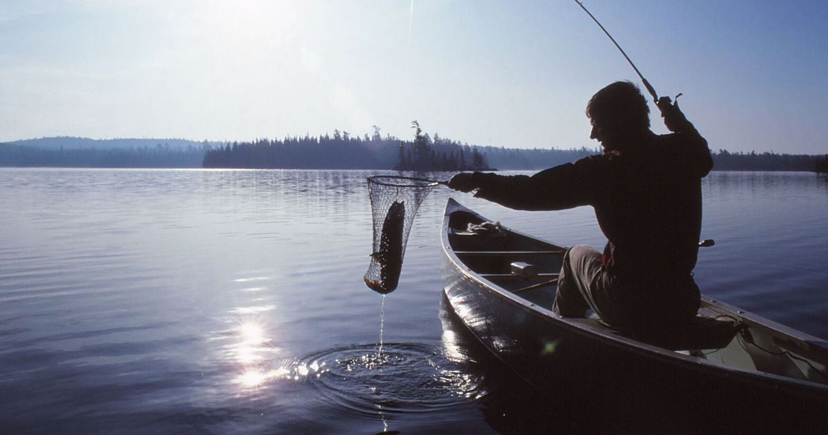 Where canoes rule: Paddlers float their wildest dreams in wilderness of 7,000 lakes | Gone Wild