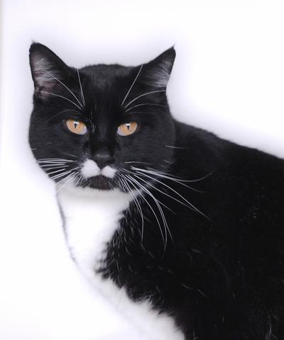 <!-- Feature creature  --> (Photo courtesy of Karen Fosberg)