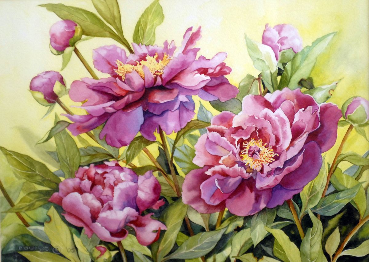 This watercolor by Susan Downes is called Peonies #1. (Jesse Spokesman-revi / The Spokesman-Review)