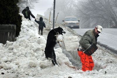 Martin Nelson, 50, plays “catch” with his dog, Sadie, while shoveling out the sidewalk snow berm Thursday at 13th Avenue and Monroe Street in Spokane. Nelson started his work Monday at 10th and Monroe and planned to keep shoveling through 14th Avenue. He  said he’s spending five hours a day on the job.  (Dan Pelle / The Spokesman-Review)
