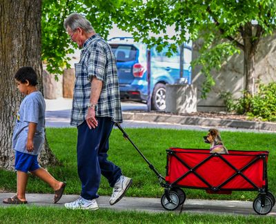 Kelly Pearson and his stepgrandson, Tshone Williams, 7, take Cuddles the dog, 5, for a stroll on Tuesday near the corner of First Avenue and Hemlock Street. Cuddles had knee surgery three months ago and became depressed at home, Pearson said. The wagon rides are part of his recuperation.  (DAN PELLE/THE SPOKESMAN-REVIEW)
