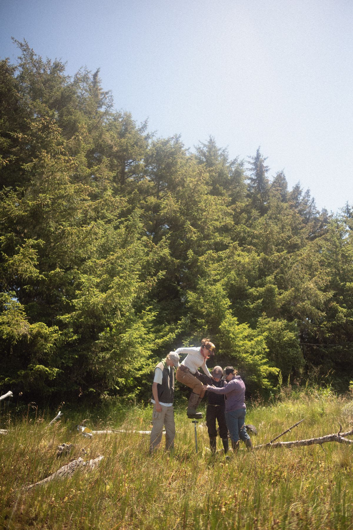 Scientists take a sediment core in July near the mouth of the Coquille River on the Oregon Coast, part of their quest to find buried evidence of tsunamis and earthquakes that struck the region.  (Olivia Bee/For the Washington Post)