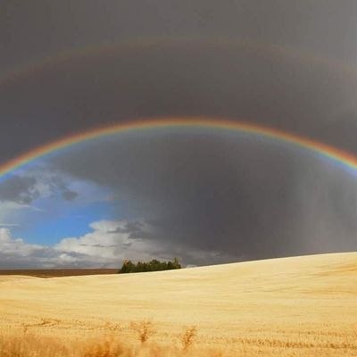 Seeing double: A double rainbow cuts through some ominous clouds south of Uniontown, Washington. (Mary Hayward photo)